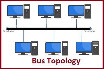 توپولوژی Bus چیست؟
